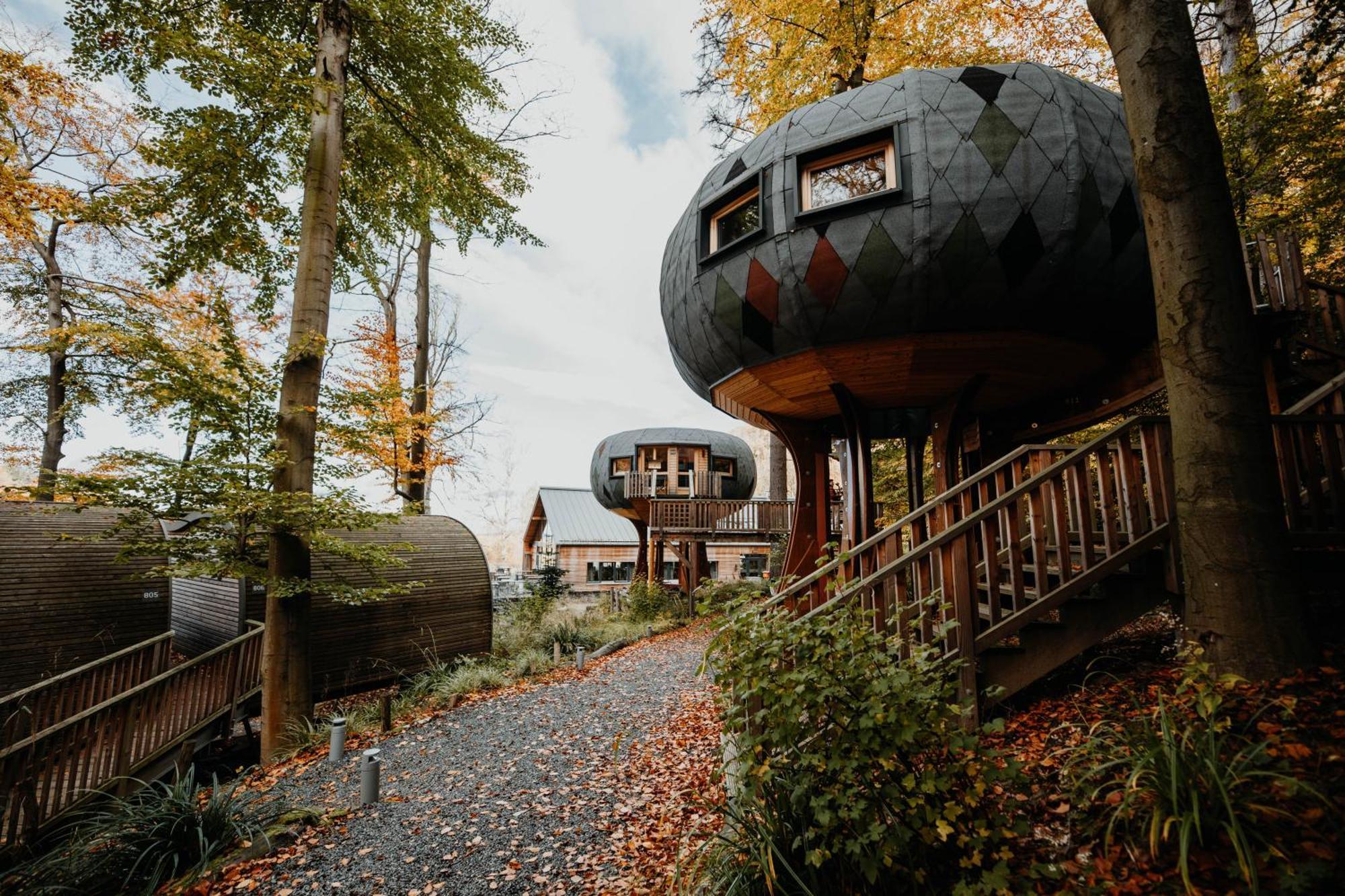 Sonnenresort Ettershaus Bad Harzburg Eksteriør bilde