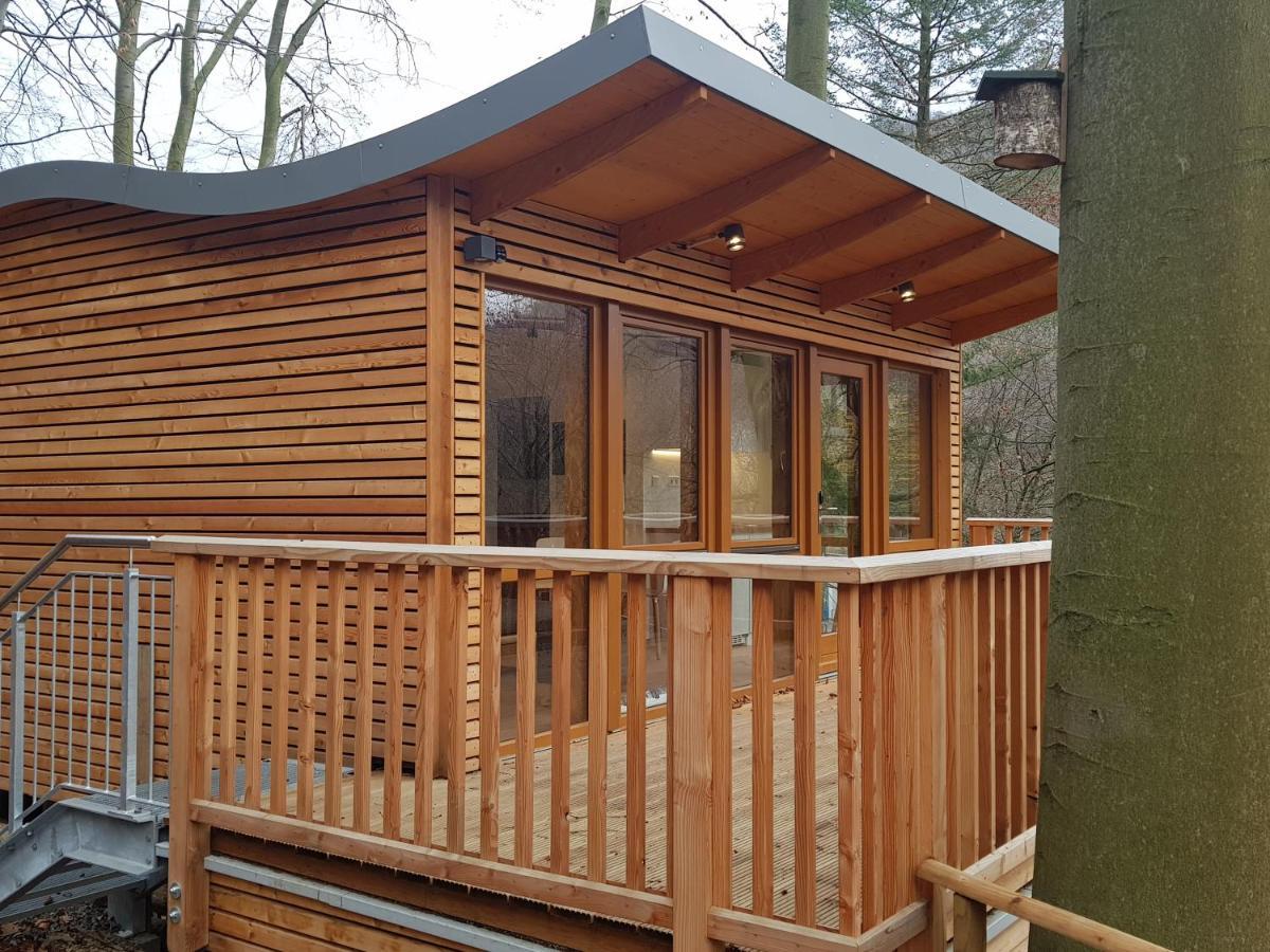 Sonnenresort Ettershaus Bad Harzburg Eksteriør bilde